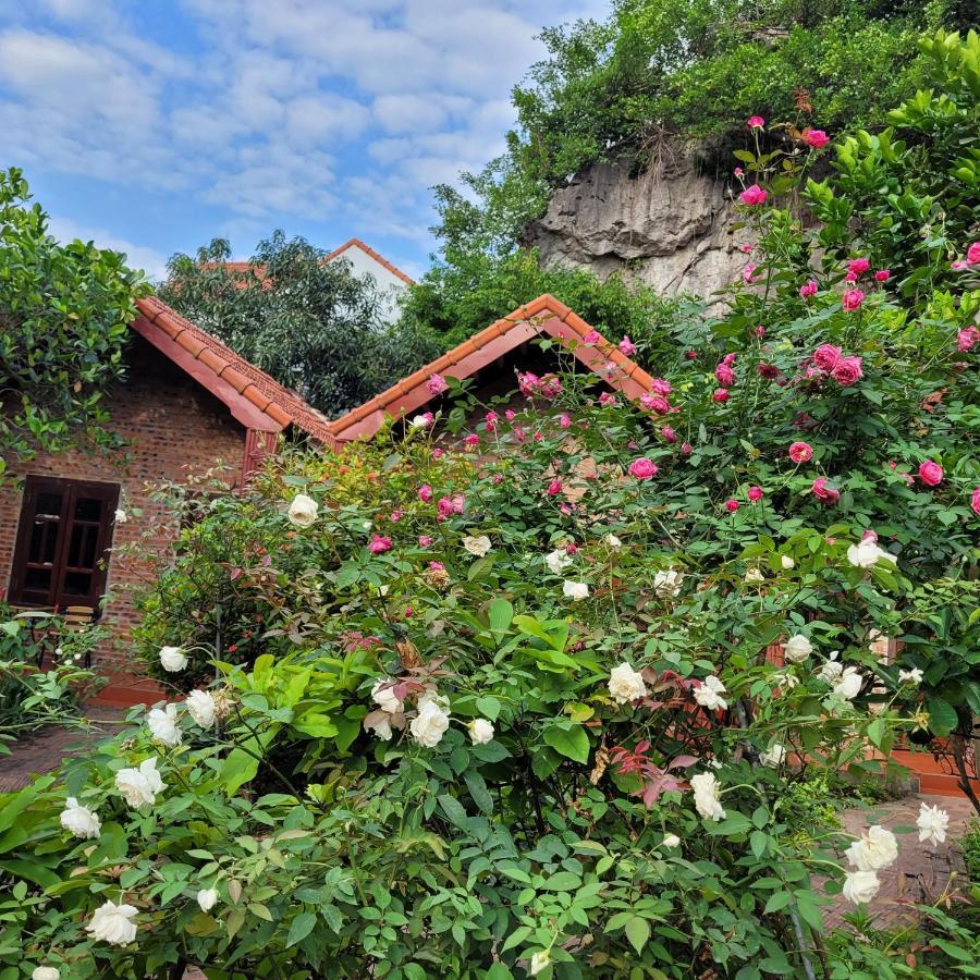 Tam Coc Mountain Lake Homestay Ninh Binh Zewnętrze zdjęcie